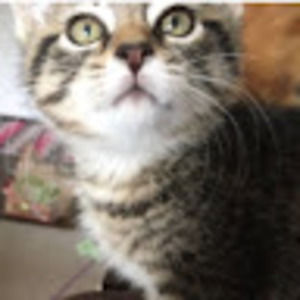 Meet your Posher, Krissy